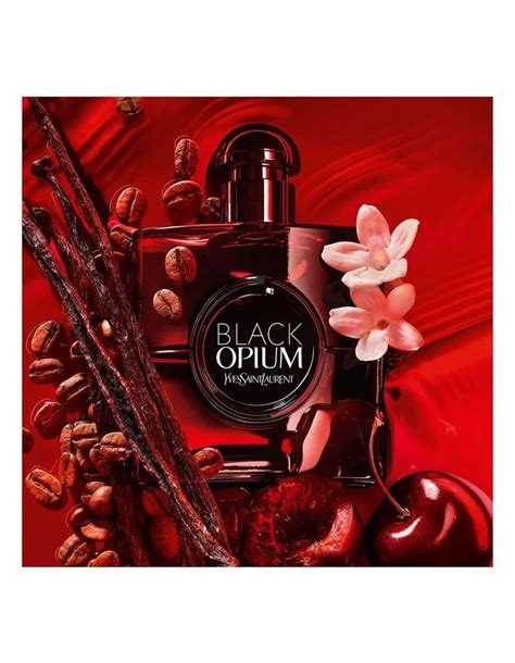 myer ysl